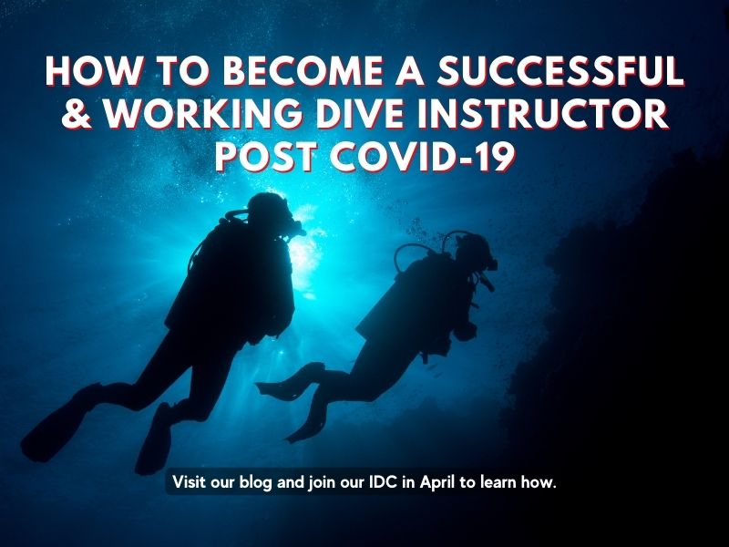 How to Become a Successful and working Dive Instructor Post COVID-19